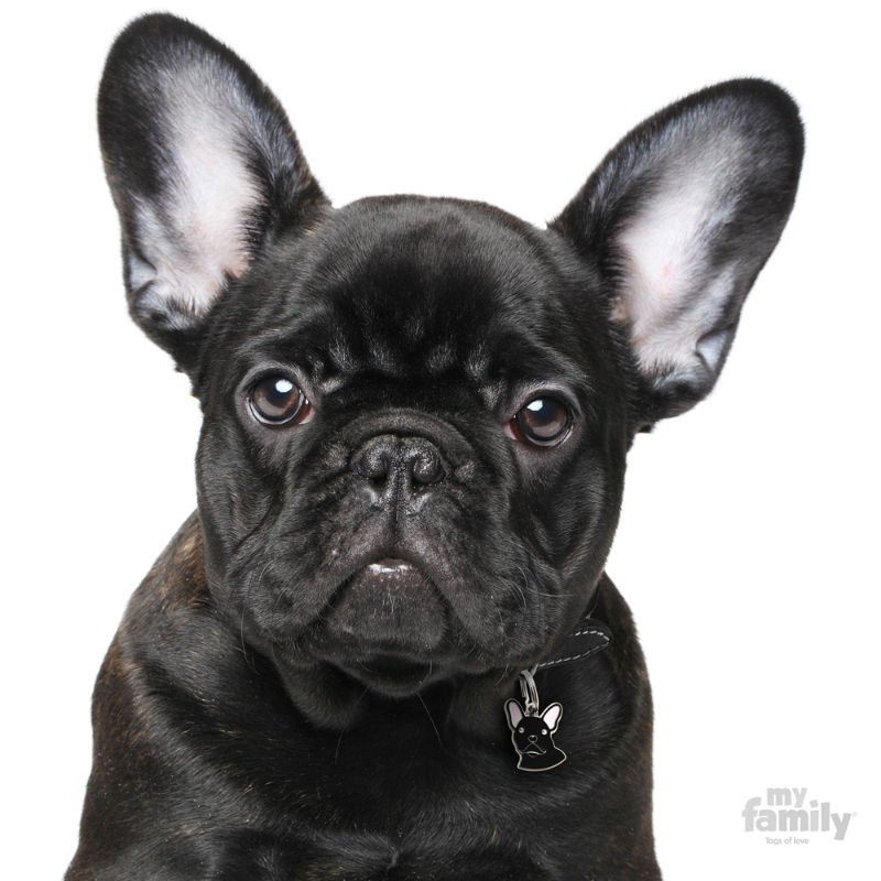 salmon oil for french bulldogs