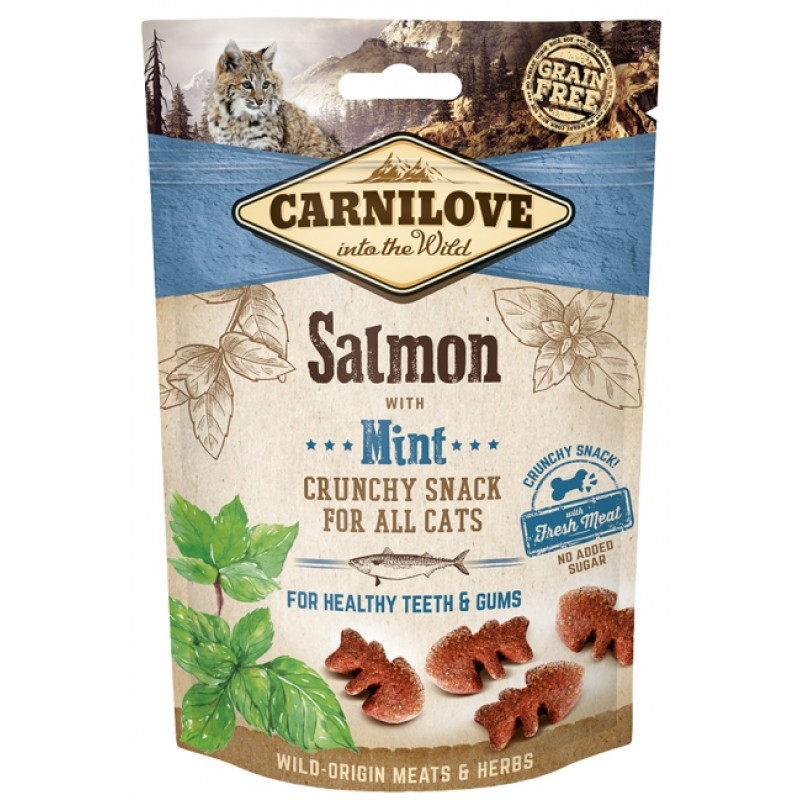 carnilove salmon cat