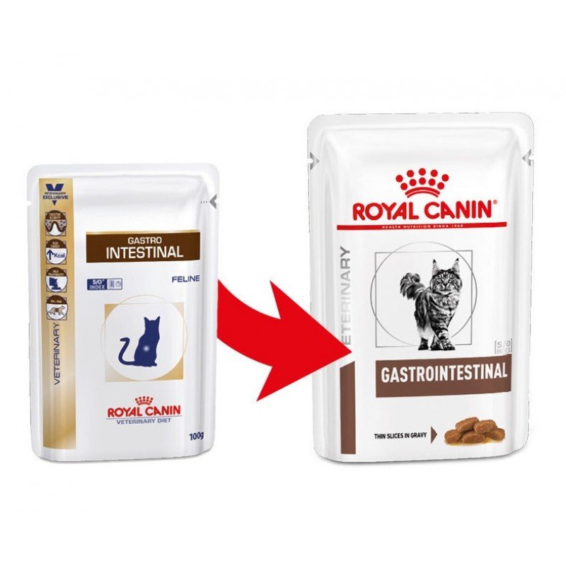 royal canin feline intestinal