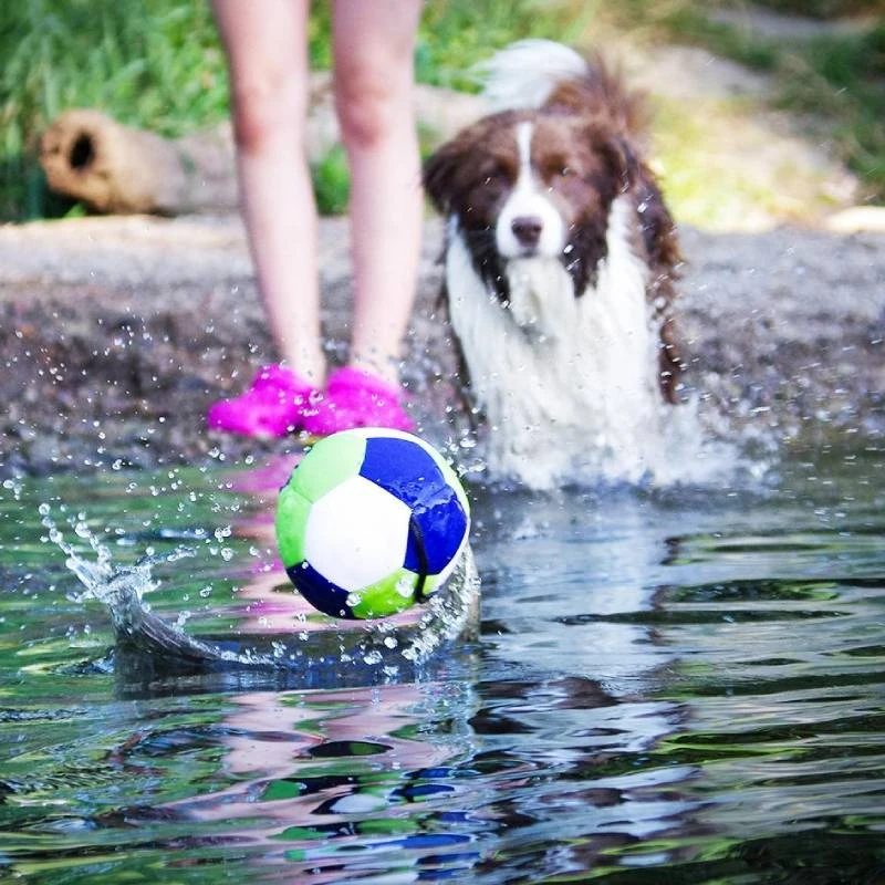 Μπάλα Θαλάσσης για Σκύλους Akinu Aqua 14cm Σκύλοι