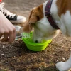 Πιάτο Σιλικόνης Ταξιδίου Σκύλου & Γάτας Akinu Folding Bowl 500ml Πράσινο Σκύλοι