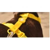 Σαμαράκι Σκύλου Dashi Colorflex Yellow Back Harness Small 1,5x32-53cm Σκύλοι