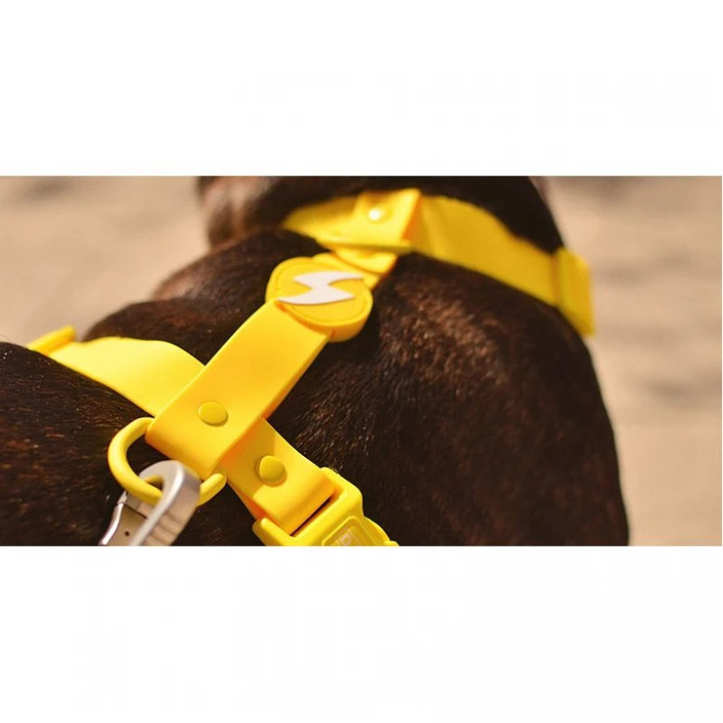 Σαμαράκι Σκύλου Dashi Colorflex Yellow Back Harness XSmall 1x23-38cm Σκύλοι