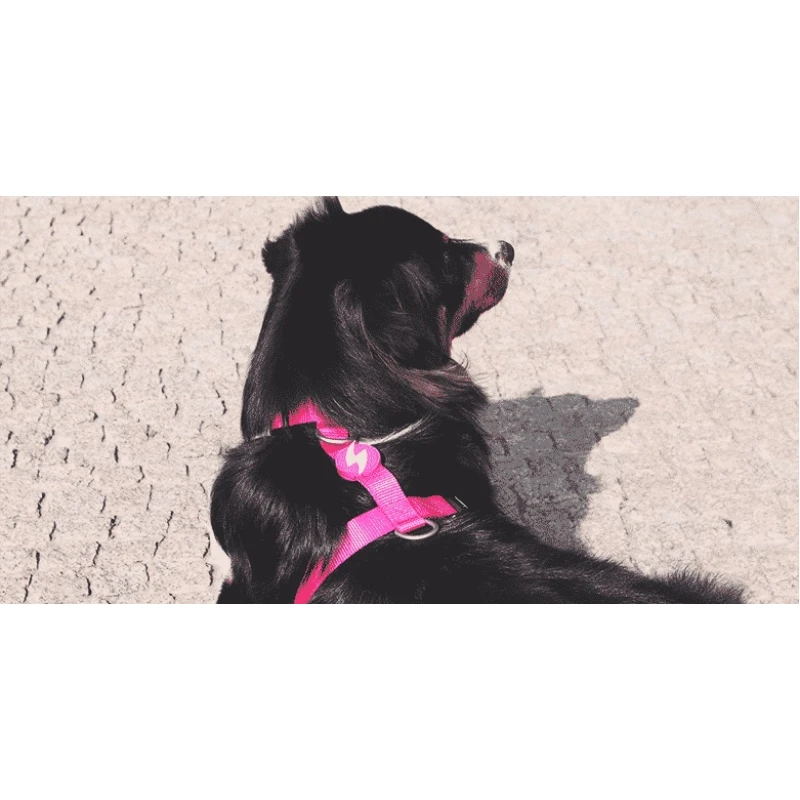 Σαμαράκι Σκύλου Dashi Solid Pink Back Harness Small 1,5x32-53cm Σκύλοι