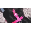 Σαμαράκι Σκύλου Dashi Solid Pink Back Harness Small 1,5x32-53cm Σκύλοι