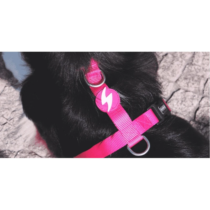 Σαμαράκι Σκύλου Dashi Solid Pink Back Harness Medium 2x42-69cm Σκύλοι