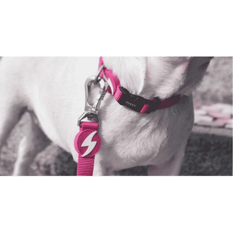 Λουρί, Οδηγός Σκύλου Dashi Solid Pink Leash Medium 2x120cm Σκύλοι