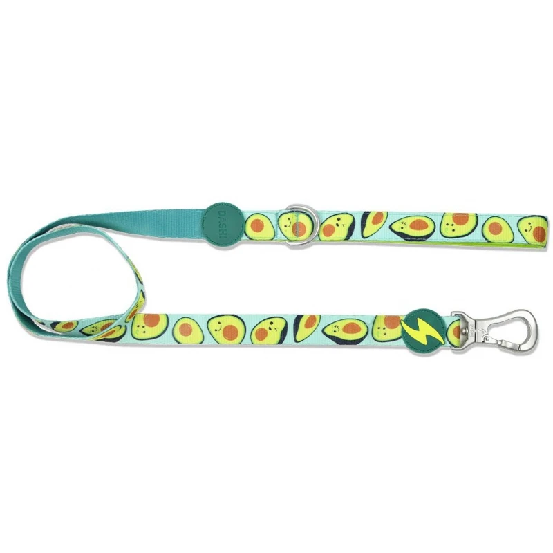 Λουρί, Οδηγός Σκύλου Dashi Avocado Leash Large 2,5x120cm Σκύλοι