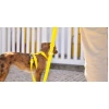 Λουρί, Οδηγός Σκύλου Dashi Colorflex Yellow Leash Large 2,5x120cm Σκύλοι