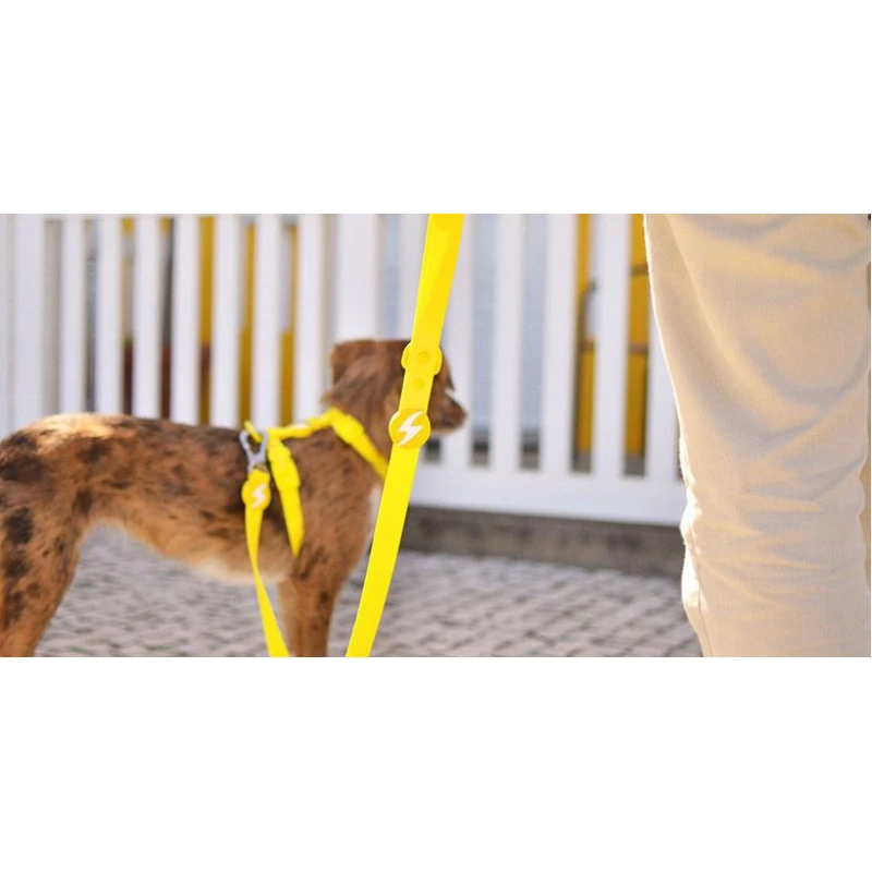 Λουρί, Οδηγός Σκύλου Dashi Colorflex Yellow Leash Medium 2x120cm Σκύλοι