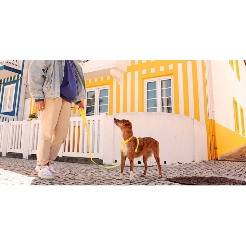 Λουρί, Οδηγός Σκύλου Dashi Colorflex Yellow Leash Medium 2x120cm Σκύλοι