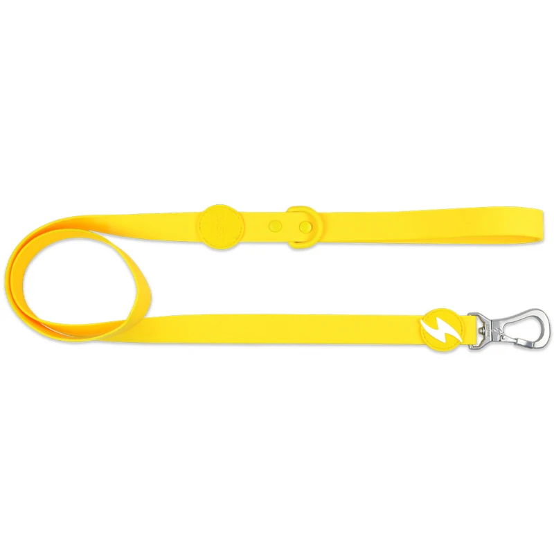 Λουρί, Οδηγός Σκύλου Dashi Colorflex Yellow Leash XSmall 1x120cm Σκύλοι