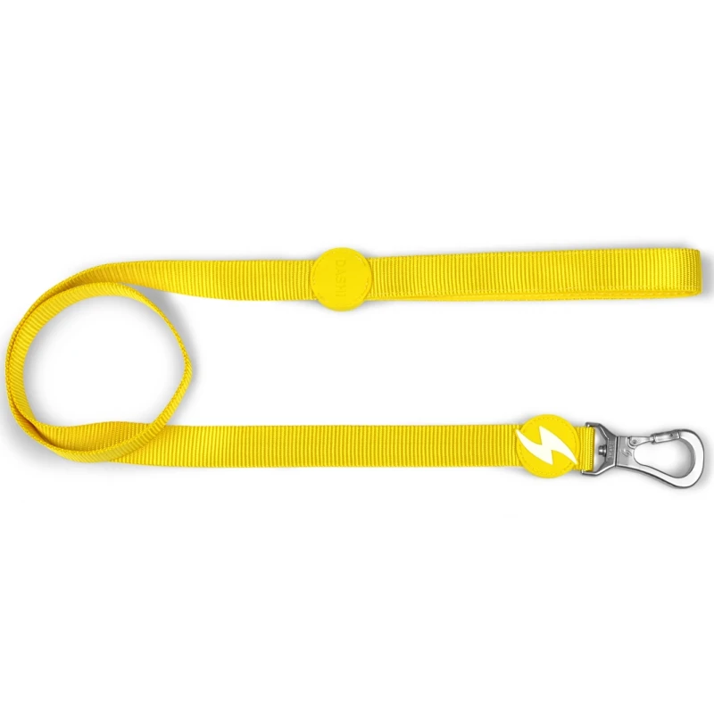 Λουρί, Οδηγός Σκύλου Dashi Solid Yellow Leash Large 2,5x120cm Σκύλοι