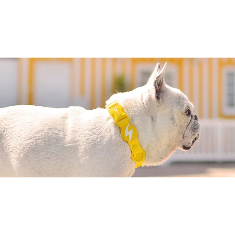 Περιλαίμιο Σκύλου Dashi Colorflex Yellow Collar Medium 2x35-54cm Σκύλοι