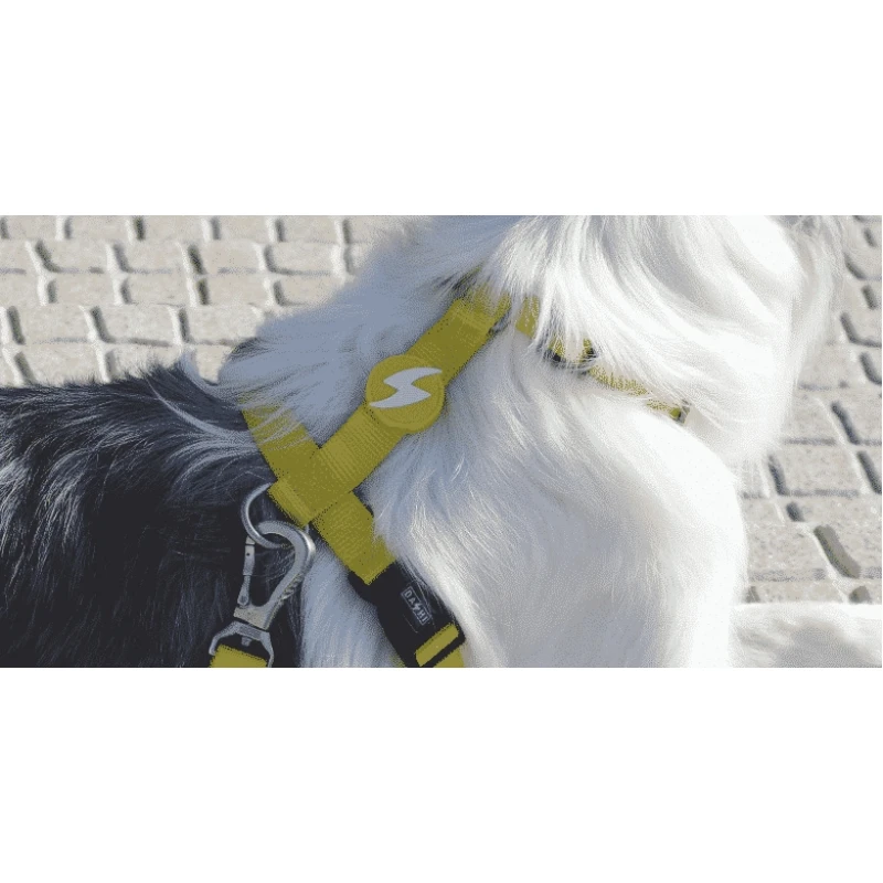 Σαμαράκι Σκύλου Dashi Solid Yellow Back Harness Large 2,5x62-107cm Σκύλοι