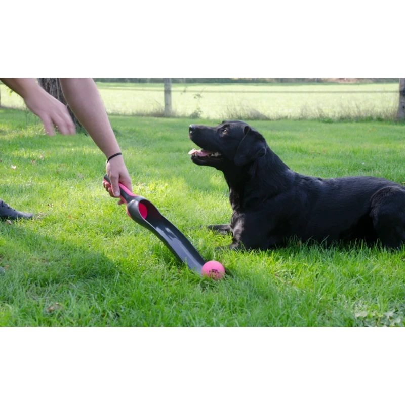 Παιχνίδι Σκύλου Dog Comets Star Launcher Εκτοξευτής Μπάλας 58cm Ροζ Σκύλοι