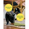 Παιχνίδι Σκύλου Earth Rated Chew Enrichment Toy Small 18x4,96x2,47cm Σκύλοι