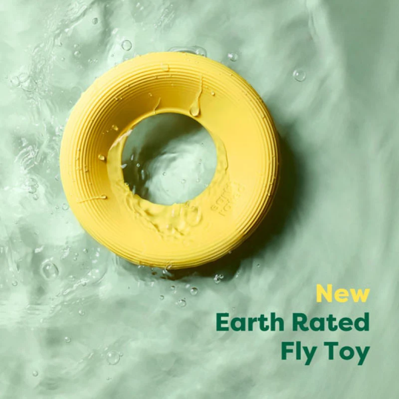 Παιχνίδι Σκύλου Earth Rated Fly Toy Small 18,3cm Σκύλοι