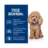 Hill's Prescription Diet Canine Mini Gastrointestinal Biome για Μικρόσωμους Σκύλους με Κοτόπουλο 1kg Σκύλοι