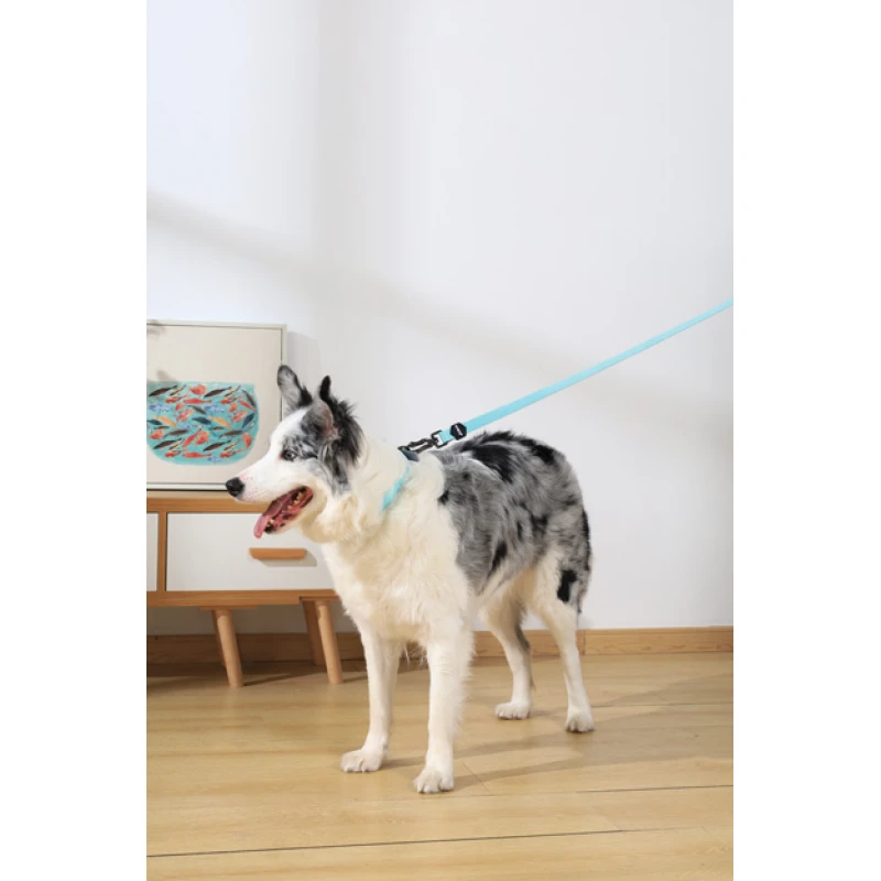 Λουρί, Οδηγός Σκύλου M-Pets Gentle Dog Leash Large 2,5x120cm Πράσινο Σκύλοι