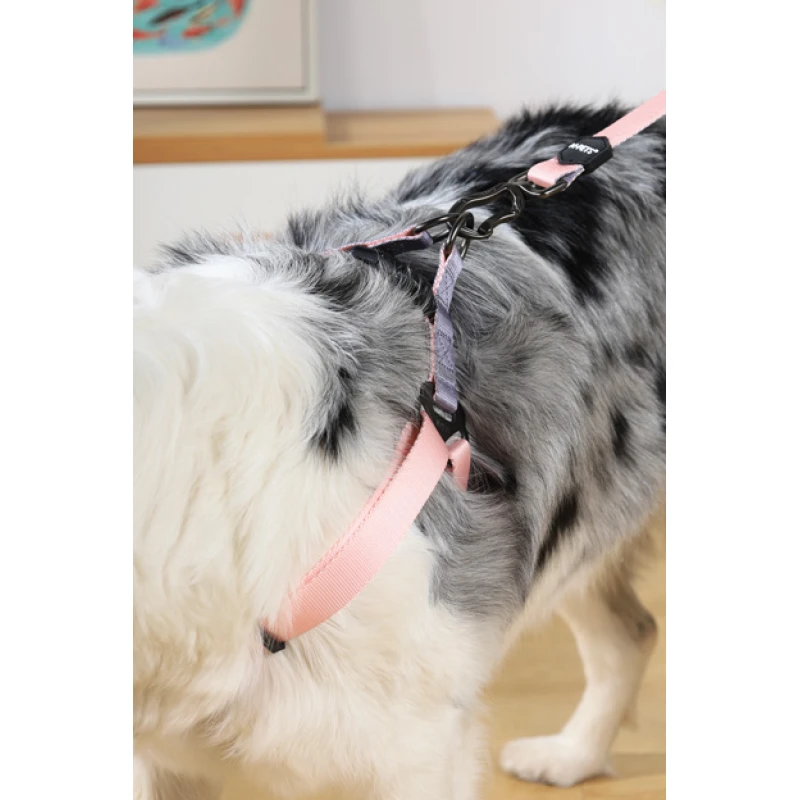 Σαμαράκι M-Pets Gentle Dog Triangle Harness Medium 2x46-70cm Ροζ Σκύλοι