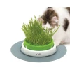 Catit Senses 2.0 Γλάστρα με Χόρτο για Γάτες 37x37x7cm Γάτες