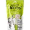 Λιχουδιές Γάτας Pet Interest Wellfed Lick N' Joy Chicken & Pear (5x14gr) 70gr με Κοτόπουλο & Αχλάδι Γάτες