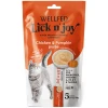 Λιχουδιές Γάτας Pet Interest Wellfed Lick N' Joy Chicken & Pumpkin (5x14gr) 70gr με Κοτόπουλο & Κολοκύθα Γάτες