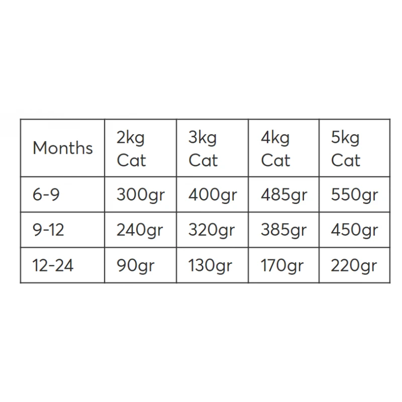 Wellfed Young Sterilized Turkey and Beef 200gr Γάτες