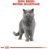 Royal Canin Cat British Shorthair Adult 2kg Γάτες