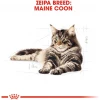 Royal Canin Cat Maine Coon Adult 2kg Γάτες