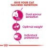 Royal Canin Cat Savour Exigent 2kg Γάτες