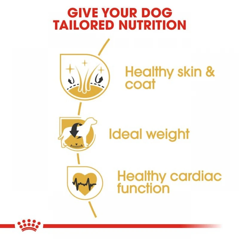 Royal Canin Cocker Adult 3kg Σκύλοι