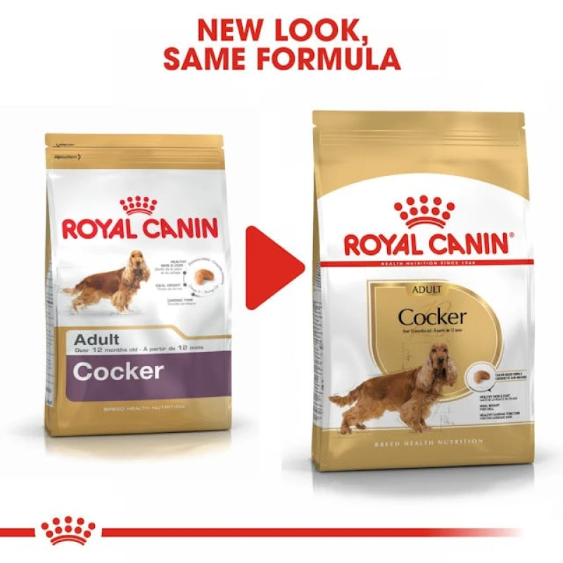 Royal Canin Cocker Adult 3kg Σκύλοι