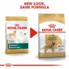 Royal Canin Golden Retriever Adult 12kg Σκύλοι