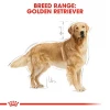 Royal Canin Golden Retriever Adult 12kg Σκύλοι