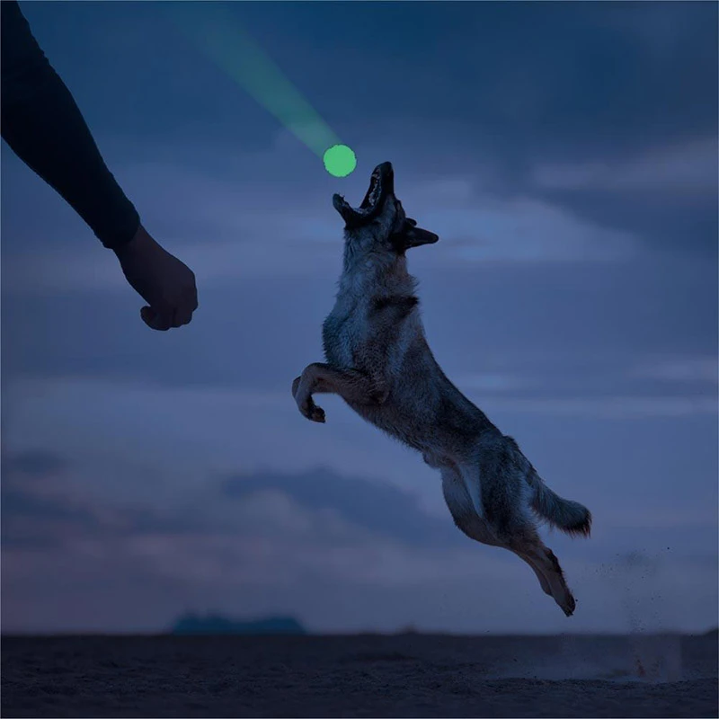 Παιχνίδι 2 Glow Fetch and Catch 2 Match 6cm Σκύλοι